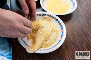 KKB_Seelachsfilets-4