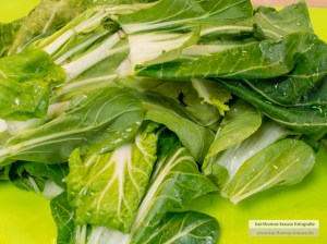 KKB_HuhnPakchoiHoisin