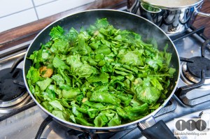 KKB_SpinatGarnelen-7