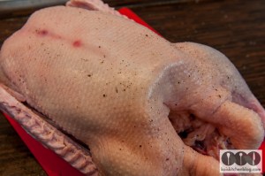 Gans aus dem Backofen. Zu Weihnachten oder anderen Festen genau das Richtige.