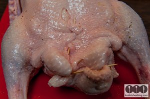 Gans aus dem Backofen. Zu Weihnachten oder anderen Festen genau das Richtige.