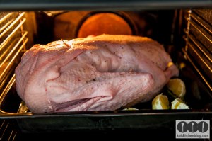 Gans aus dem Backofen. Zu Weihnachten oder anderen Festen genau das Richtige.